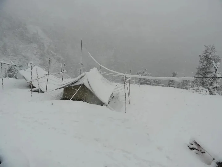 Техри: Dhanaulti Camp Homes And Nature Resort