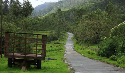 Куттикканам: Vagamon Paradise