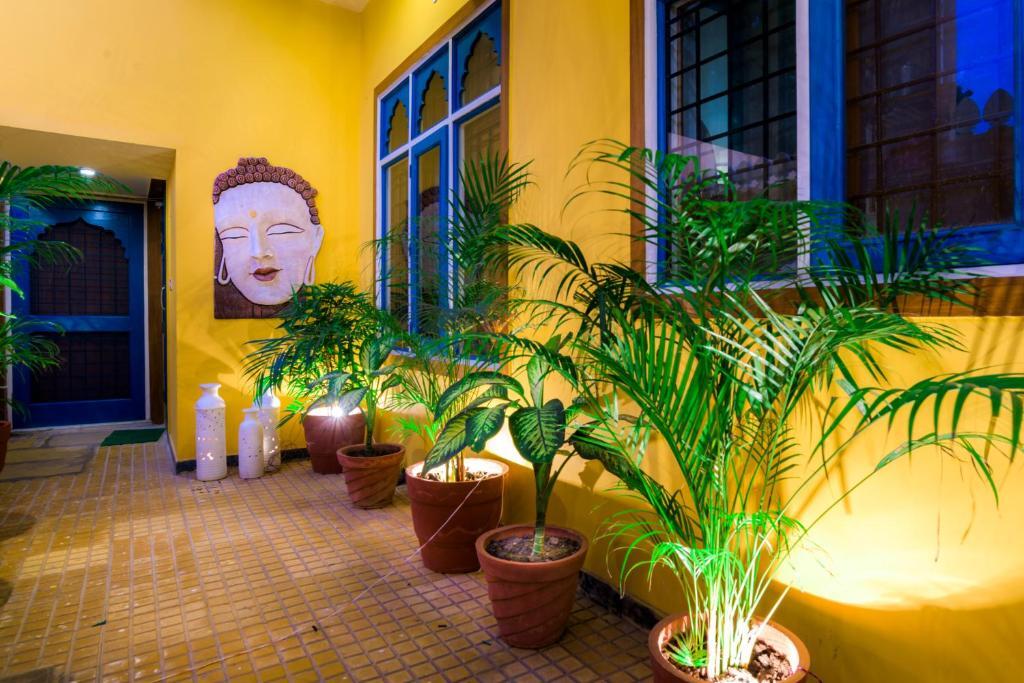 Агра: The Coral Court Homestay