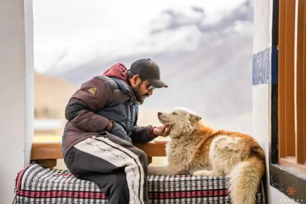Каза: Zostel Spiti