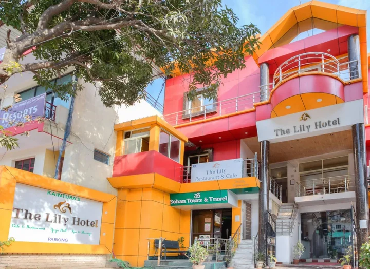 Ришикеш: The Lily Hotel