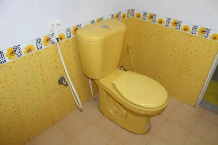 Бенаулим: Rosvilla Guesthouse