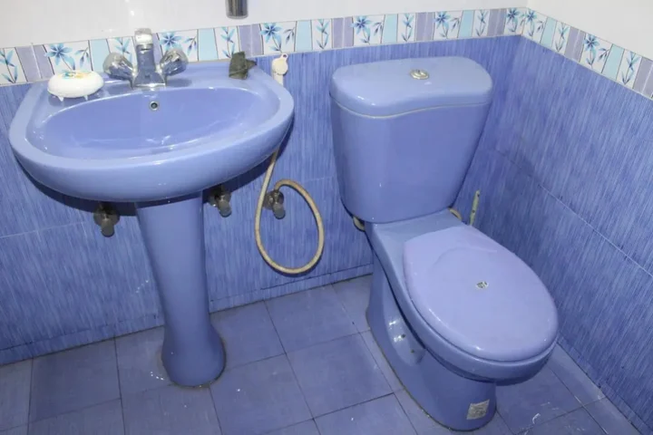 Бенаулим: Rosvilla Guesthouse