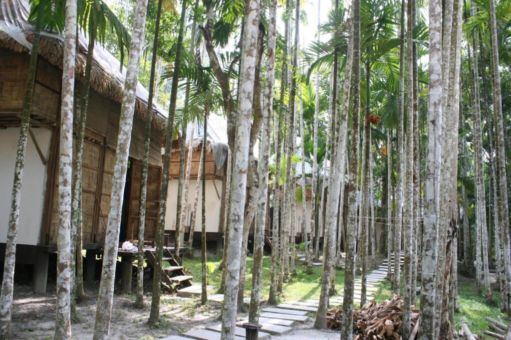 Остров Swaraj Dweep: The Flying Elephant Resort-Havelock Island