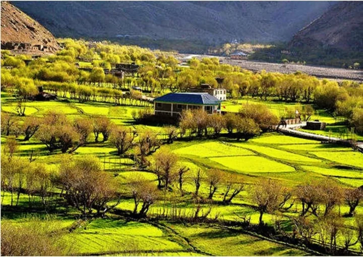 Каргил: The Highland Mountain Resort & Spa