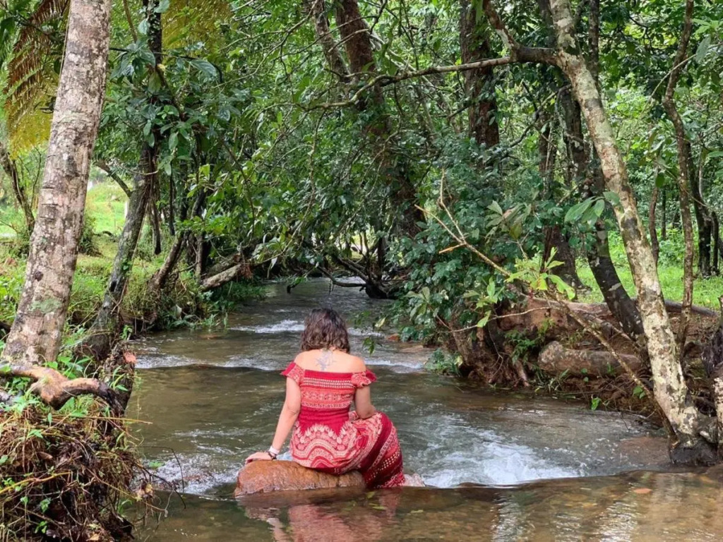 Велламундра: Abad Brookside Wayanad