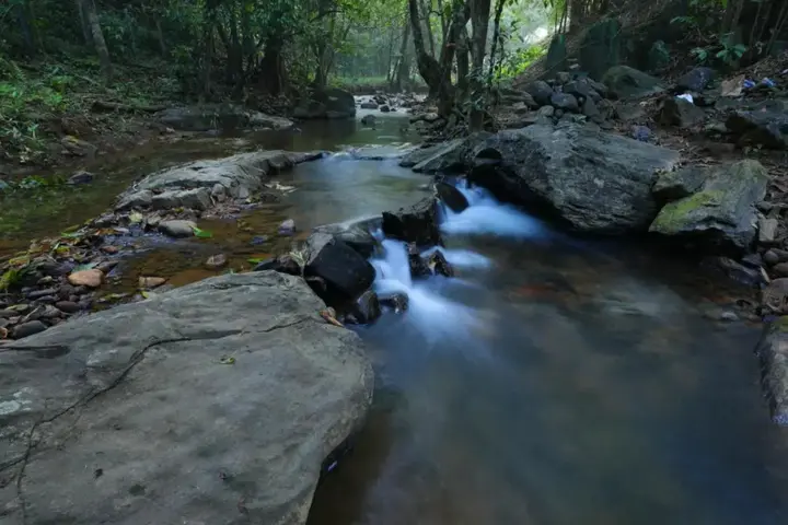 Велламундра: Abad Brookside Wayanad