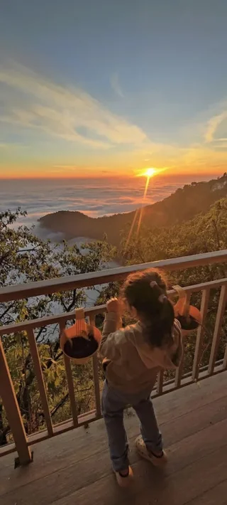 Массури: Saiva Hill Resort