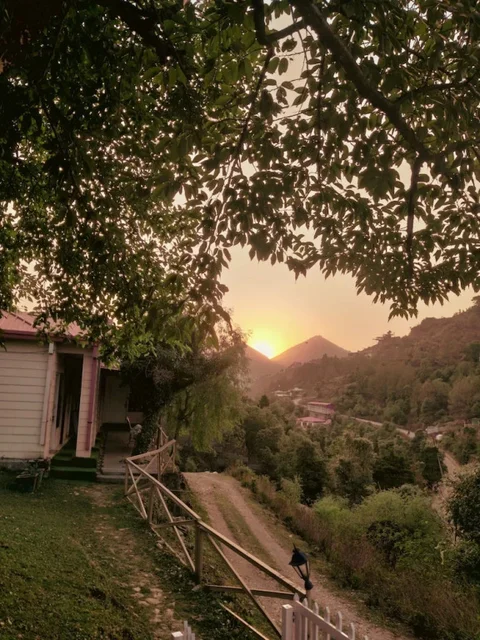 Массури: Saiva Hill Resort