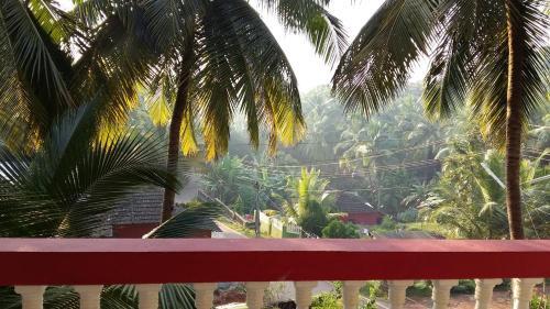 Южный Гоа: Afonso Guest House Agonda