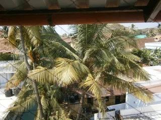Коччи: Jasmine Homestay