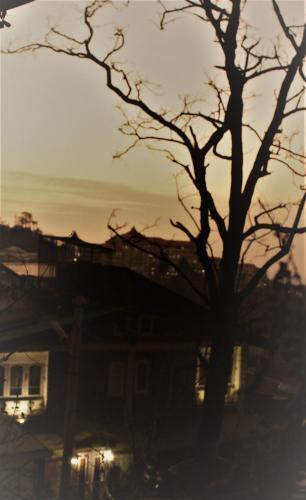 Шимла: Prakash Cottage Shimla