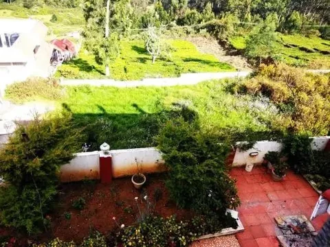 Кунур: Tea leaf home stay