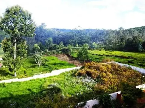 Кунур: Tea leaf home stay