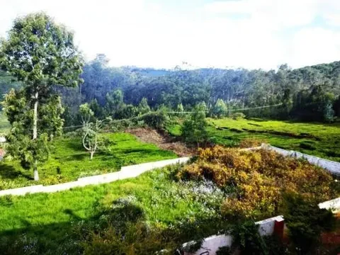 Кунур: Tea leaf home stay