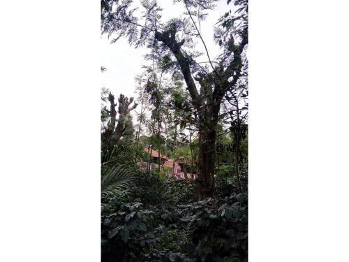 Малландуру: Suraksha Homestay