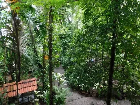 Коччи: Green Woods Bethlehem