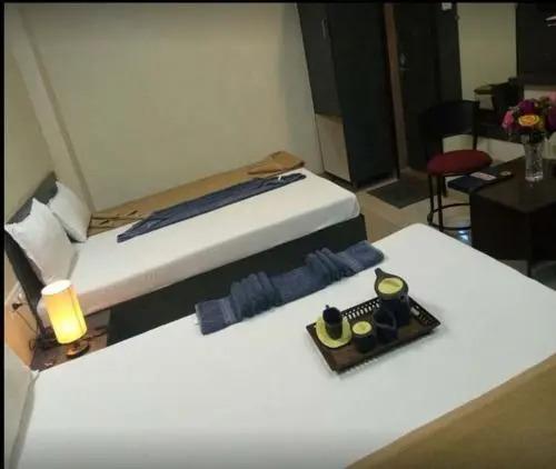 Гора Абу: Hotel Bhumi