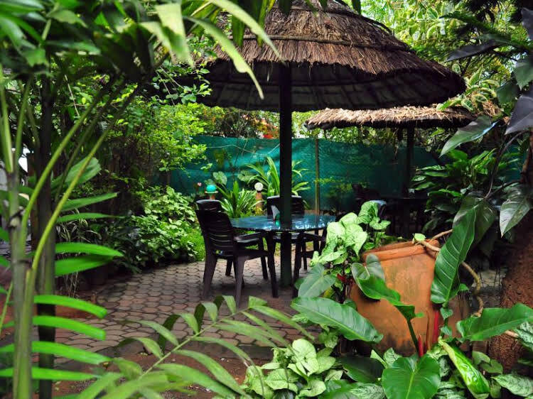 Султан-Батери: Haritagiri Hotel & Ayurvedic Village