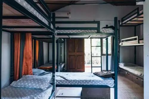 Анджуна: Caterpillar Hostel
