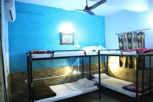 Джодхпур: Global hostel Jodhpur