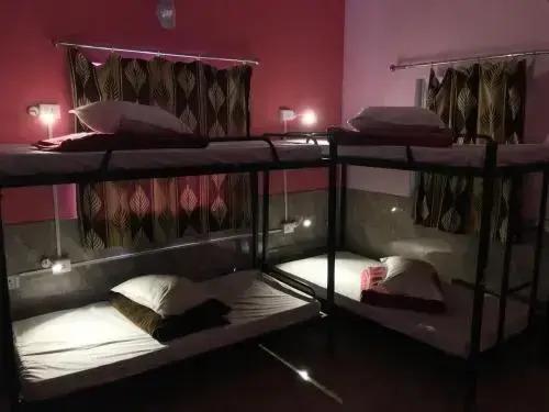 Джодхпур: Global hostel Jodhpur