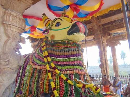 Солагампатти: Tanjore Homestay