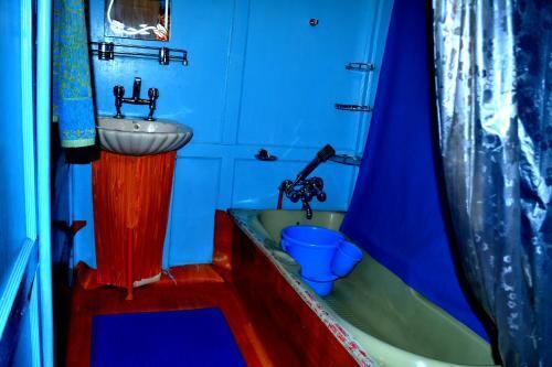 Шринагар: Houseboat Picorot Cliper