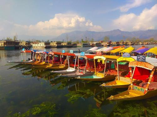 Шринагар: Houseboat Picorot Cliper