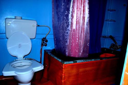 Шринагар: Houseboat Picorot Cliper