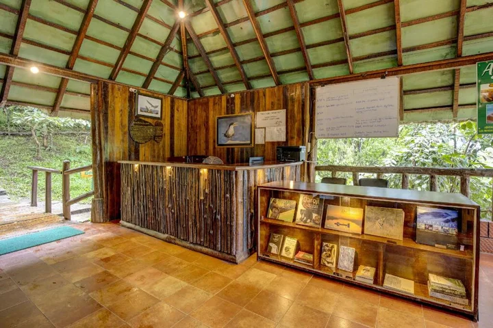 Шиккамагалуру: River Tern Lodge