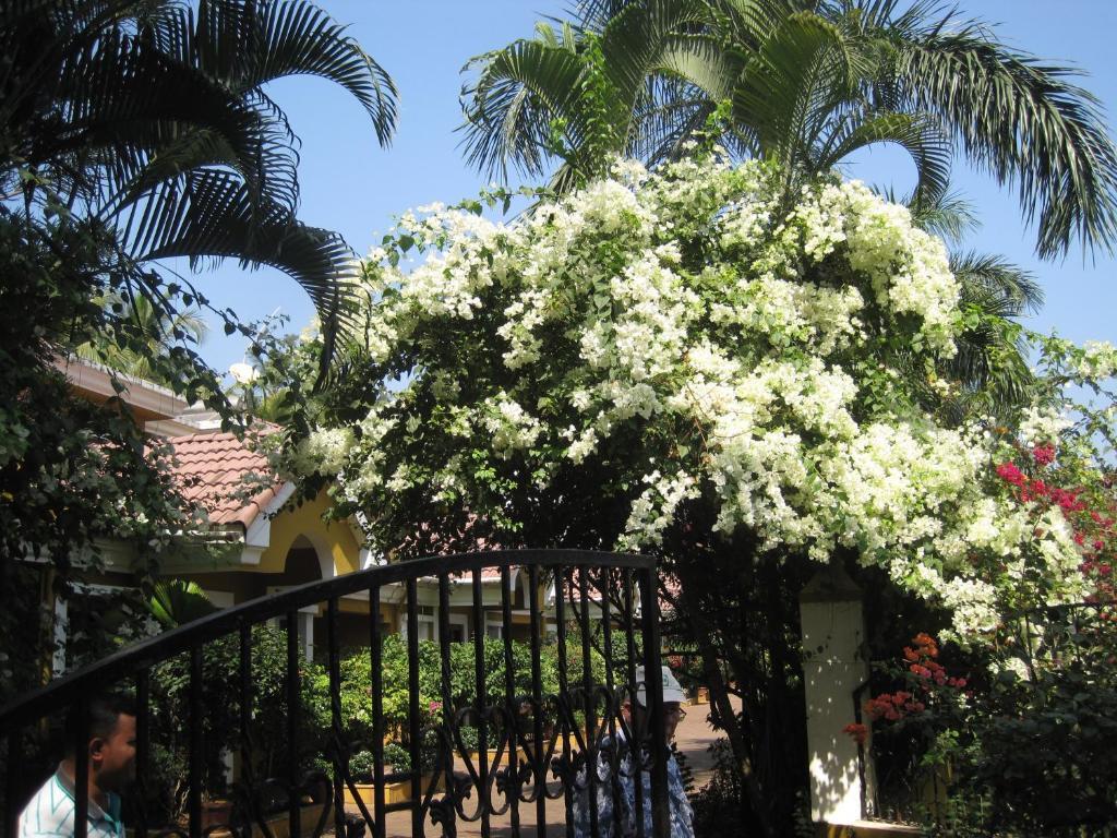 Южный Гоа: Casa Jorge