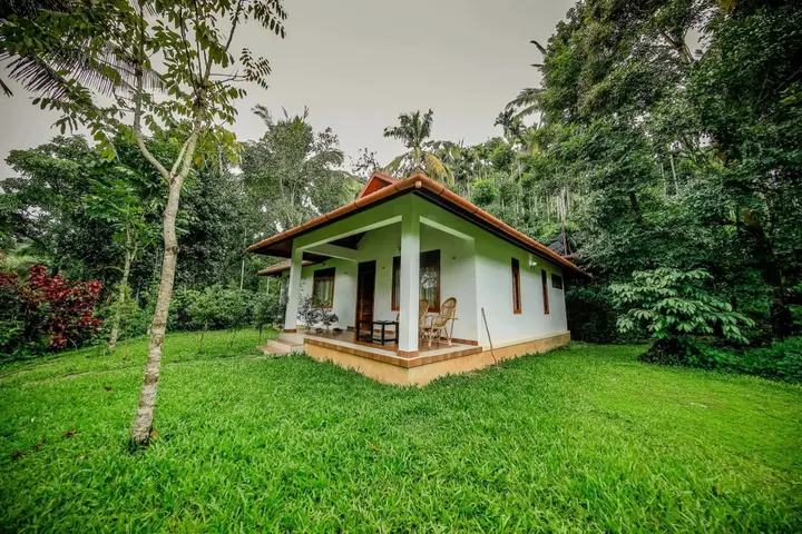Вадуванчхар: Bamboo Creek Resort