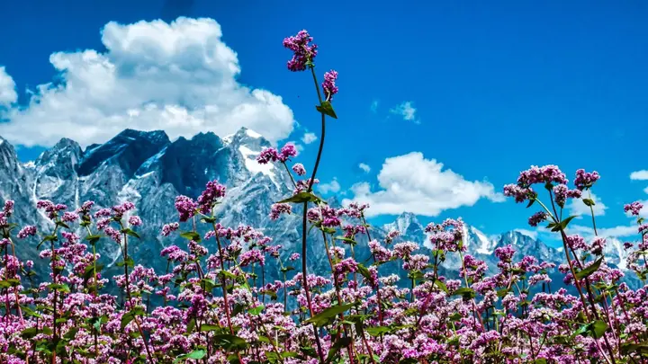 Серингче: Banjara Camp and Retreat Sangla