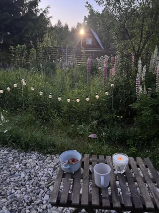 Звенигород: Гостевой дом Cozy Villa