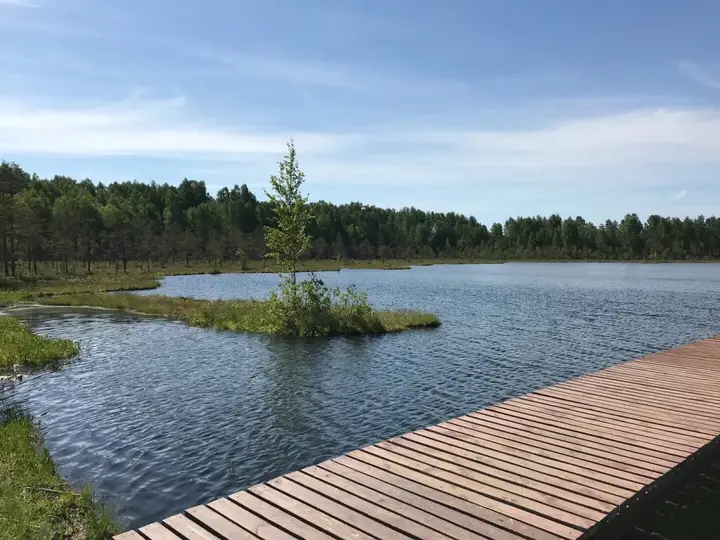 Дом с баней и камином — фото 6