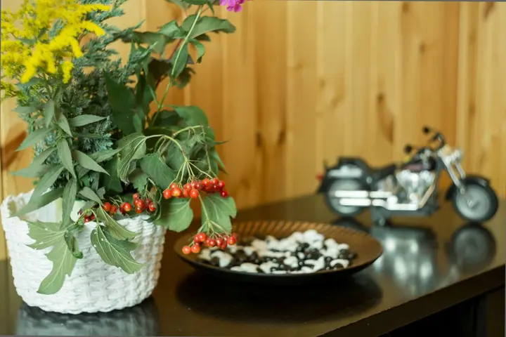 Ломоносов: Частный дом Дом в Садах