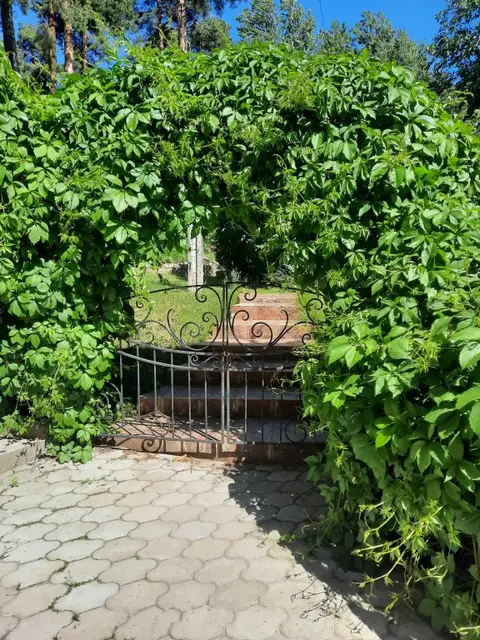 Дом-студия Усадьба — фото 2