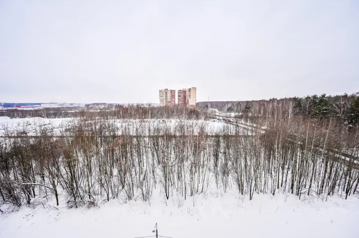 Ногинск: Апартаменты на Дмитрия Михайлова 2 (8 этаж)