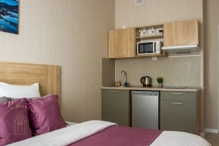 Санкт-Петербург: Апартаменты Студия Natalie Apartments Пулковское шоссе 14с6 №3
