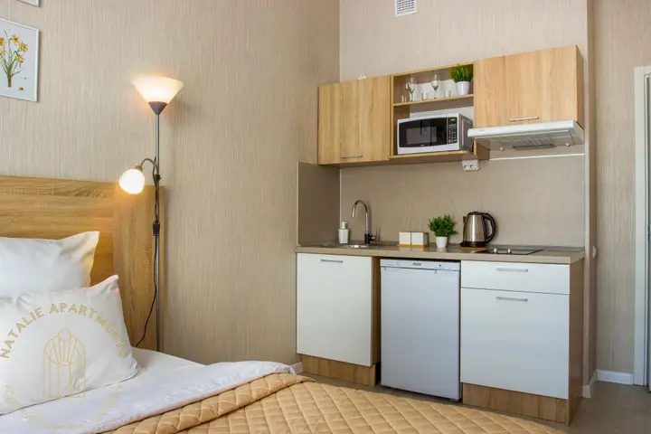 Санкт-Петербург: Апартаменты Студия Natalie Apartments Пулковское шоссе 14с6 №4