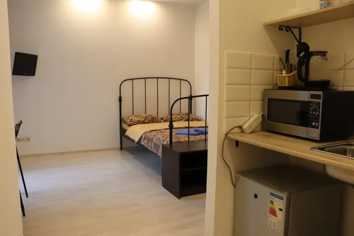 Апартаменты с джакузи и балконом STUDIO CROCUS 15Г — фото 6