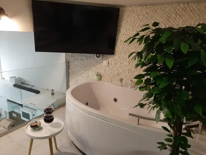 SPA VIP апартаменты с сауной и джакузи в центре Москвы — фото 4