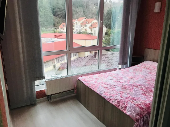 Сочи: Apartment Gorkogo