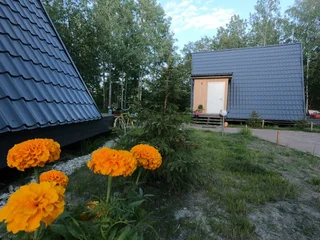 Красное Село: Гостевой Дом Trofhouse
