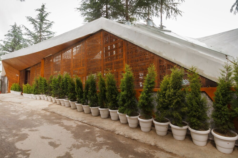 Наггар: Tree of Life Eila Art Hotel; Naggar
