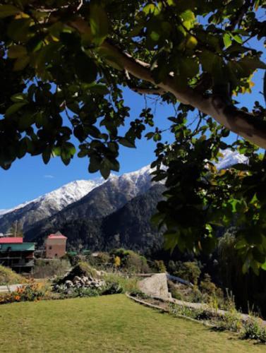 Hotel Monal Residency Kalpa — фото 6