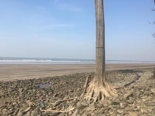 Kapil's Beach Resort — фото 5