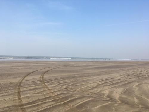 Kapil's Beach Resort — фото 6