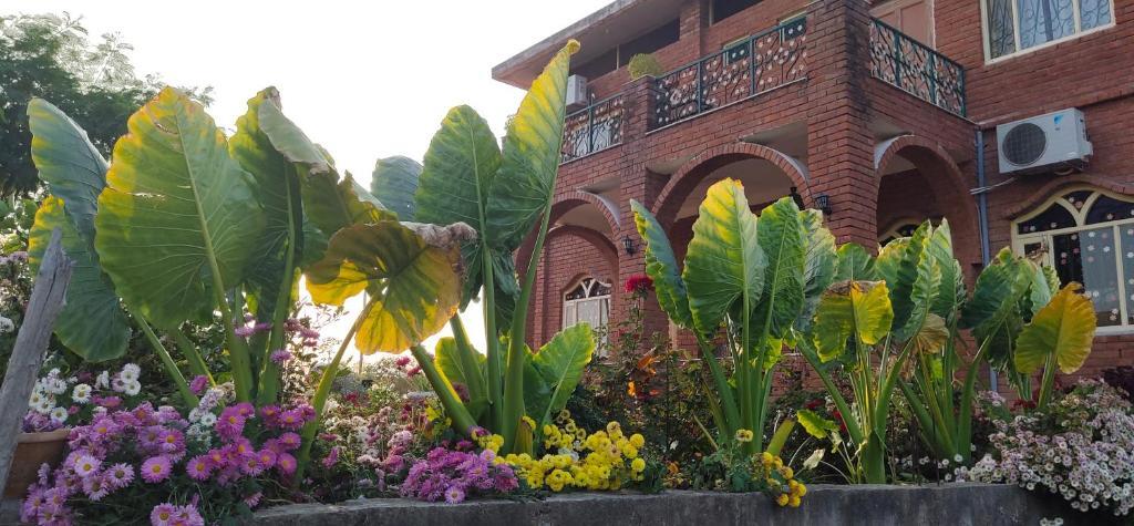 Кхаджурахо: Lalita Homestay Countryside